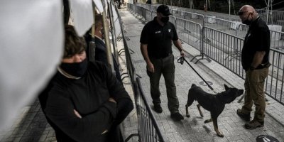 Köpekler Covid-19’u kokladı, 2 bin kişi maç izledi