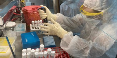 "Sinovac Aşısına % 99,6 oranında antikor yanıtı saptandı"