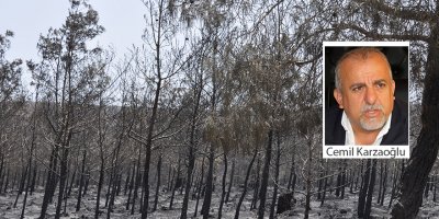 3 büyük yangında 13 bin 653 hektar orman kaybedildi