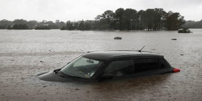 Zehirli örümcek türü "istilası" uyarısı