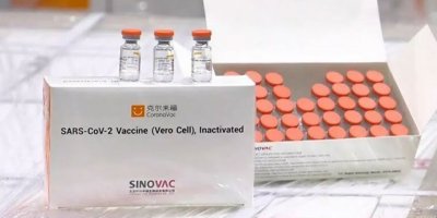 Sinovac araştırması: Bağışıklık için iki doz şart
