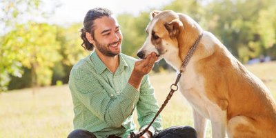 Girne Belediyesi'nden küçük dostlarımız için çağrı