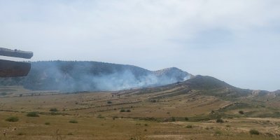 50 dönümlük alan yandı