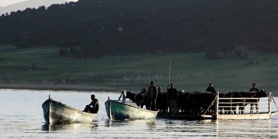 Türkiye'de virüse rastlanmayan tek yer 200 kişinin yaşadığı bir ada