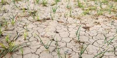 Üç bölgede 'olağanüstü' kuraklık