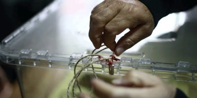 MetroPOLL anketi: İmamoğlu, Yavaş ve Akşener, Erdoğan'dan fazla oy alıyor