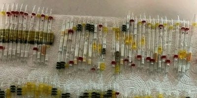 Sarp Sınır Kapısı'nda 230 tüp arı ve kobra yılanı zehri ele geçirildi