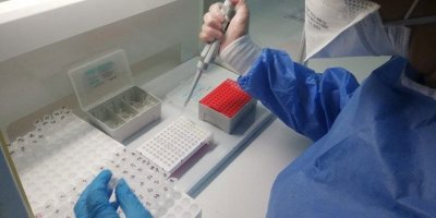 Hint mutasyonu dirençli çıktı!