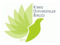 "Her ülkede yaşanabilecek olayları sadece KKTC'nin sorunu gibi göstermek art niyetli bir yaklaşım"