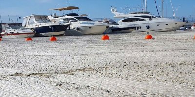 Deniz salyası gitgide artıyor