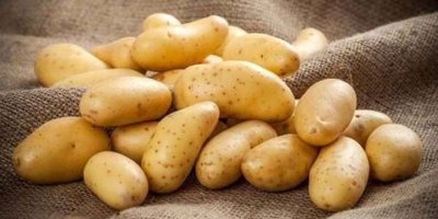 Kuzucuk köyü için patates don zararı askı listeleri hazırlandı