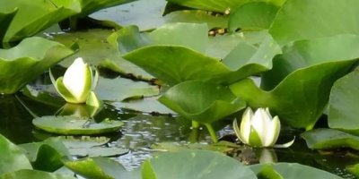 Koparmanın cezası 73 bin TL