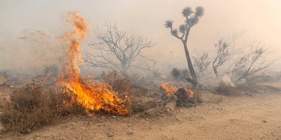 Baf ve Paralimni'de Yangın