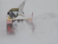 PKK'lı terörist, Giresun'da iş makinesi operatörüne teslim oldu