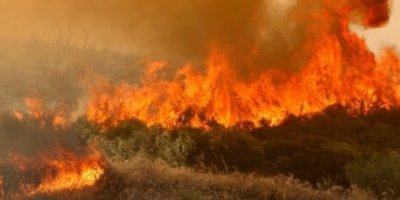 Dipkarpaz'da yangın!