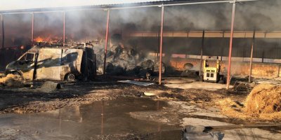 800 rulo balya, van araç ve forklift yandı