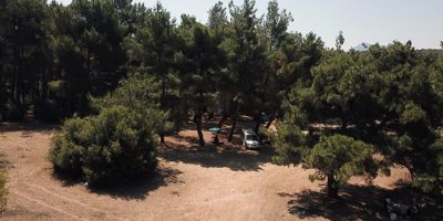 Ormanlara Girişler Yasaklandı