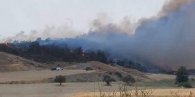 Mallıdağ-Arıdamı köyleri arasındaki yangın kontrol altına alındı