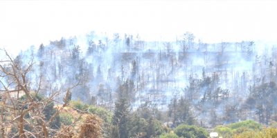 "Karşıyaka’daki yangın elektrik hatları nedeniyle çıkmadı"