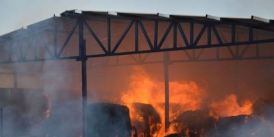 Türkiye'ye balya ve saman desteği!