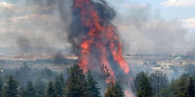 Yangının şüphelisi için istenen ceza belli oldu