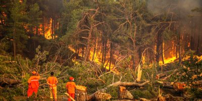 Manavgat'taki yangını 12 yaşındaki çocuğun çıkardığı belirlendi