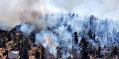 Bir haftada 29 yangın!