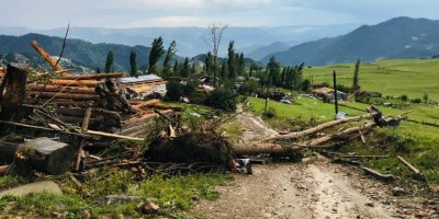 Artvin'de hortum: Çatıları uçurdu, ağaçları kökünden söktü