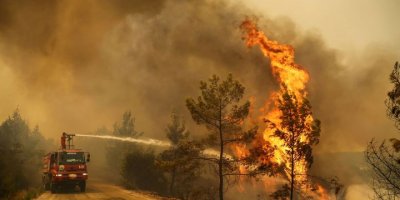 Yangın çıkardığı iddiasıyla tutuklanan kişi, 'Benzinle döke, döke, yaka yaka gittim' demiş