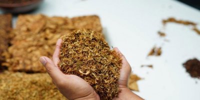 KKTC'den 50 bin euro değerinde kaçak tütün iddiası