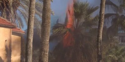 Tatbikat sırasında ağaç alev aldı