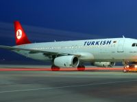 THY'nin Zürih seferi yapan uçağına havada kuş çarptı