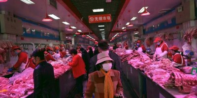 Çin'in vahşi hayvan pazarlarında pandemiye yol açabilecek 18 virüs daha var