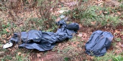 Sarıyer'de ormanlık alanda kesilmiş atlar bulundu