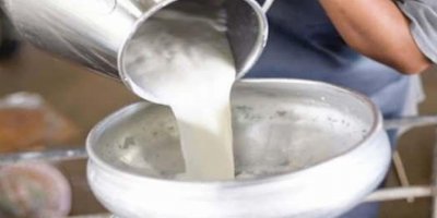 Çiğ süte 48 kuruşluk zam geldi!