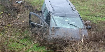 Köpeğe çarpmamak için şarampole uçtu