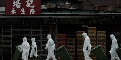 Çin’in Guangdong eyaletinde H5N6 tipi kuş gribi vakası görüldü