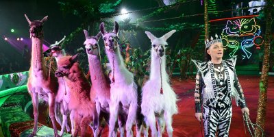 Avrupa Parlamentosu: Sirklerde hayvan kullanımı yasaklansın