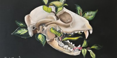 Prof. Dr. Kürşad Turgut Anma Sergisi Pazartesi günü açılacak