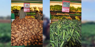 Patatesin kilosu 16 TL,  Salatalık 20 TL’yi aştı…