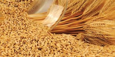 Ekilen veya dikilen arazilerle ilgili itiraz süresi uzatıldı