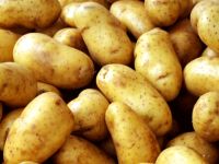 Güneye Yunanistan, Ürdün ve Mısır’dan patates