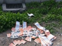 Broşür ve kartvizitler yol kenarlarında