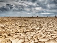 Yağmur yağmazsa üreticinin hali duman