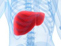 Karaciğeri tertemiz yapan kür
