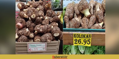 Güneyde 6 TL, kuzeyde 26,95 TL!