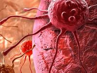 Kanserle mücadelede immünolojik yöntemler ön planda