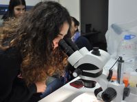 Lise öğrencileri DAÜ’de atölye çalışmalarına katıldı