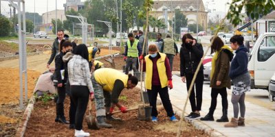 Kızılbaş parkına dönüştürülen alanda yeşillendirme çalışmaları yapılıyor
