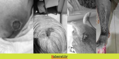 Kalkanlı Yaşam Evi’nde yaşlılar ölüme terk edildi!